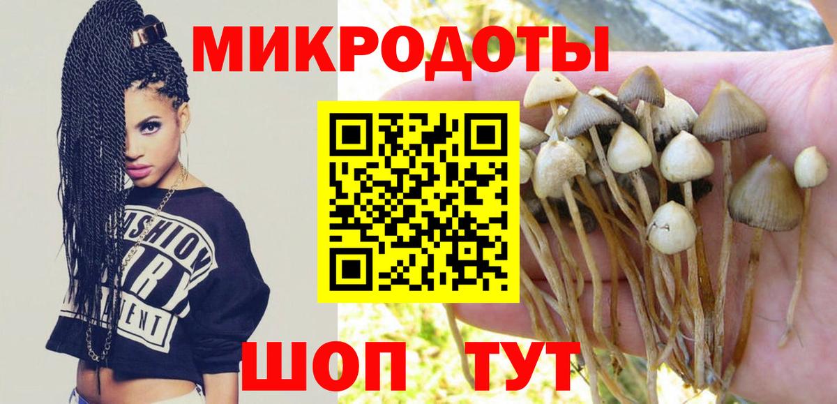 Галлюциногенные грибы MAGIC MUSHROOMS Жуковский