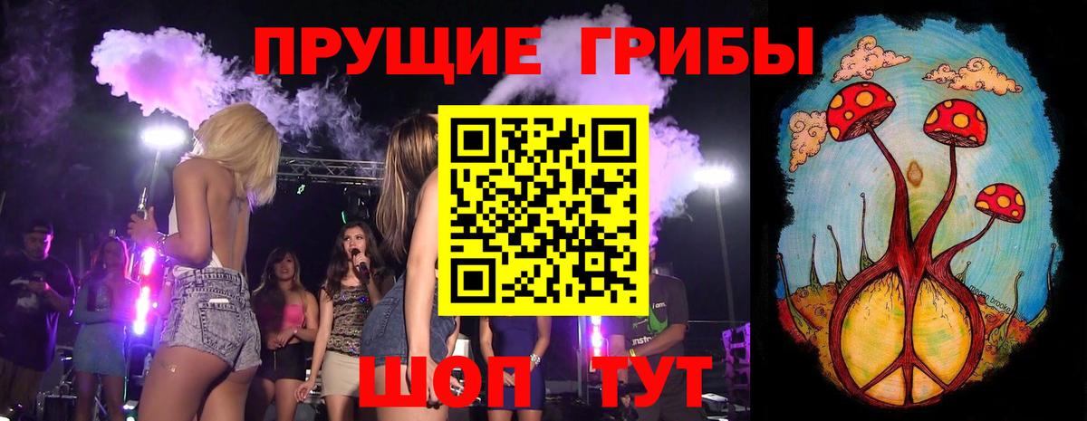 дарнет шоп  Вход с VPN  Псилоцибиновые грибы Psilocybine cubensis  Жуковский  Псилоцибиновые грибы прущие грибы 