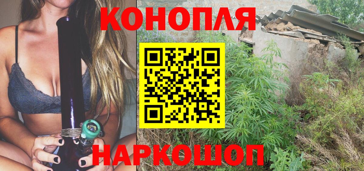 Бошки марихуана OG Kush  Марихуана марихуана  Канабис марихуана  Жуковский  Вход с VPN  Шишки марихуана план 